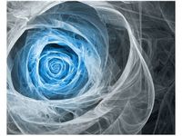 40X50CM OBRAZ BLUE ROSE OBRAZ