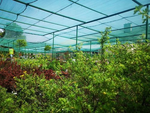 Siatka Cieniująca Mata 4x5m 60% Osłona Zielona Na Ogrodzenie Płot Balkon na Arena.pl