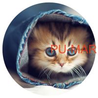 Opłatek na tort KOT Kotek Kotki Kiciuś Kocur Miluśiński Tekst Gratis