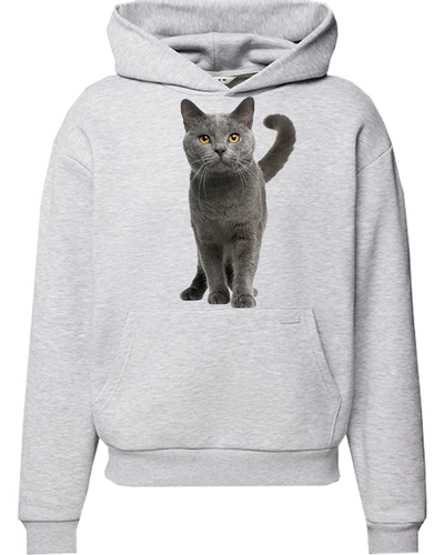 Bluza z kapturem z Kotem na Arena.pl