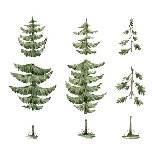 Naklejki Zestaw Jelonki DK469 zdjęcie 4