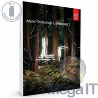 Photoshop Lightroom 5 - Licencja Wieczysta (LifeTime) - Windows - Użytkownik Indywidualny - BOX (USB)
