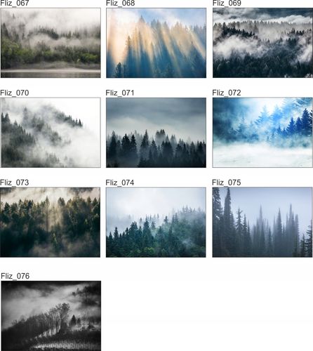 FOTOTAPETA FLIZ Las we Mgle widok góry 3D 350x245 na Arena.pl