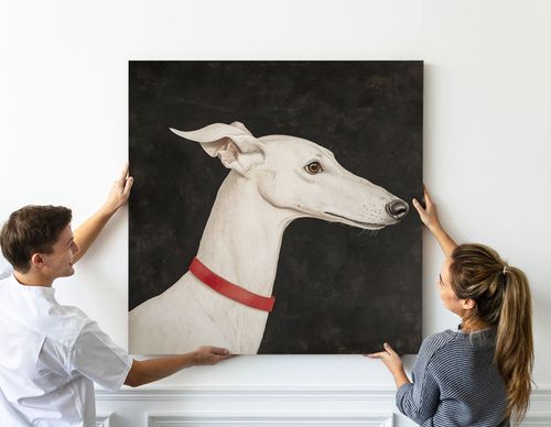 Obraz na płótnie biały pies chart 80x80 cm na Arena.pl