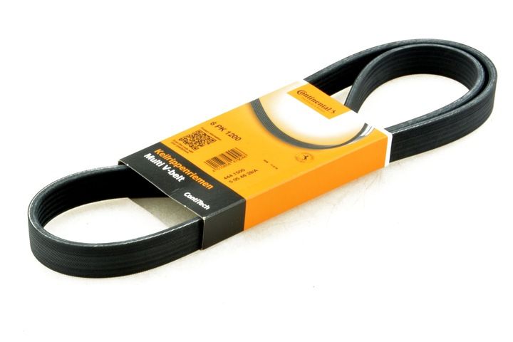 PASEK WIELOROWKOWY zdjęcie 10