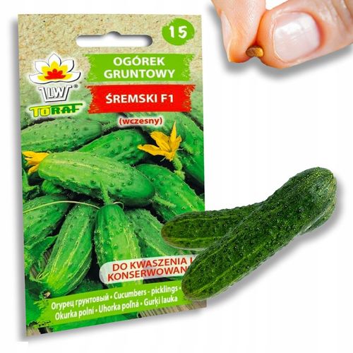 Nasiona warzyw marchew ogórek pietruszka burak NA DOBRY START UDANE PLONY na Arena.pl