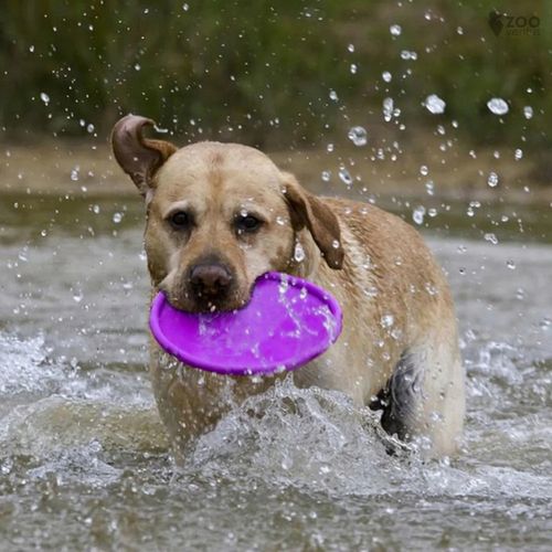 Zestaw 3x DYSK DO RZUCANIA APORTOWANIA FRISBEE GRYZAK zabawka dla psa na Arena.pl