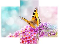 product-compare-58712279