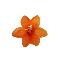 Lilijka wyrobowa pomarańczowa 24 szt