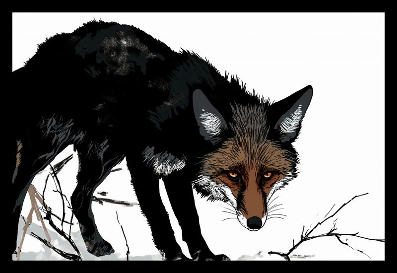 Plakat 30x20cm Nieufny Lis zdjęcie 2