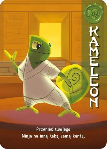 Portal Games Obóz Ninja na Arena.pl