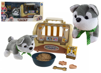 PIESEK + TRANSPORTER PIES MISKA SZCZOTKA SZCZENIAK