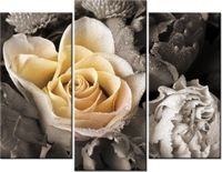 70 90CM OBRAZ 3 ELEM DELIKATNA RÓŻA ŚCIENNY DRUK PŁÓTNO