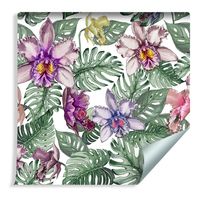 Tapeta Kolorowe Kwiaty Orchidei i Liście Monstery