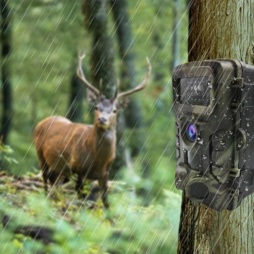 Kamera Leśna Fotopułapka Myśliwska Ip66 Czujnik Ruchu IR Tryb Nocny na Arena.pl