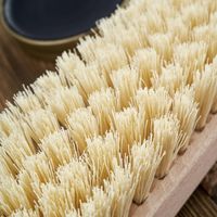 szczotka do butów 14 cm paolo peruzzi w-12-pb