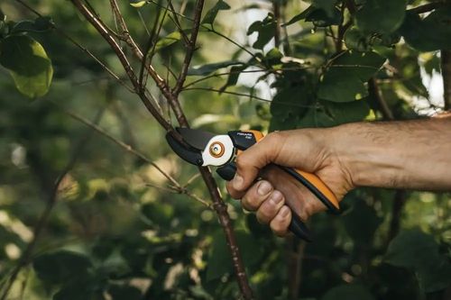 FISKARS SEKATOR KOWADEŁKOWY SOLID P361 FS1057165 na Arena.pl