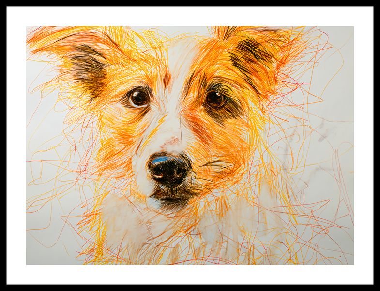 Plakat 55x40cm Uroczy Gość zdjęcie 3