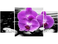 product-compare-58644100