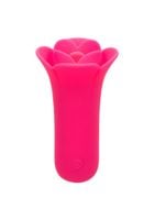 lily licker mini flower flicker