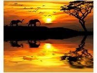 40X50CM AFRYKA OBRAZ