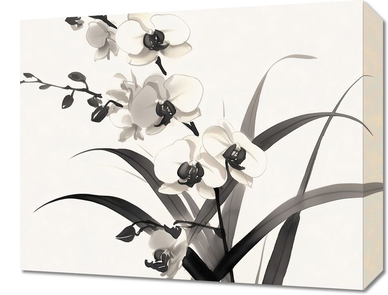 Obraz 50x40cm Orchidea zdjęcie 1