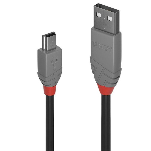 Lindy 5M Usb 2.0 Type A To Mini-B zdjęcie 1