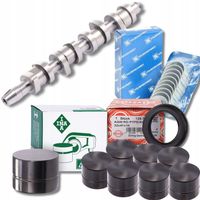 ZESTAW NAPRAWCZY WAŁKA ROZRZĄDU 1.9 TDI KOMPLET WAŁEK + PANEWKI FAI INA