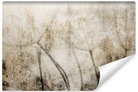 Fototapeta Nasiona Dmuchawca Styl Vintage Beton Abstrakcja 450cm x 300cm
