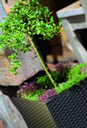 Doniczka RATO niska DRTS265L z wkładem | Antracyt na Arena.pl