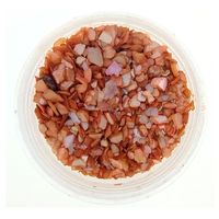 Płatki muszli kruszonej do paznokci ozdoby do hybrydy żelu CS36