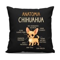 Anatomia Chihuahua - czarna poduszka na prezent z pieskiem