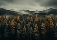 product-compare-59355666