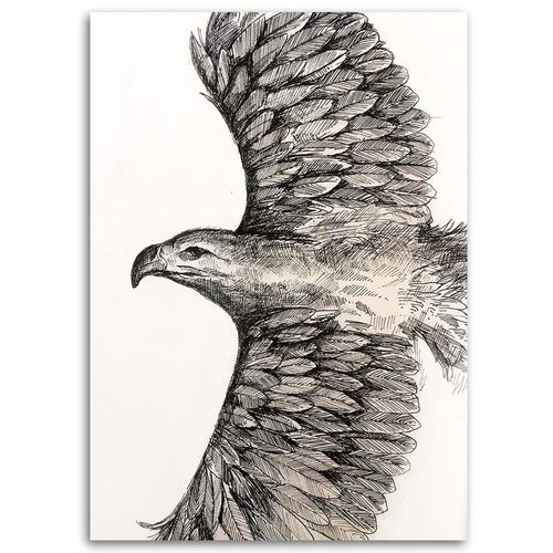 Obraz na płótnie – Canvas, Szkic lecący orzeł 50x70 na Arena.pl