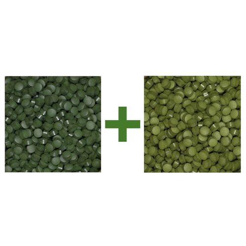Zestaw tabletek - Chlorella 250g + Spirulina 250g na Arena.pl