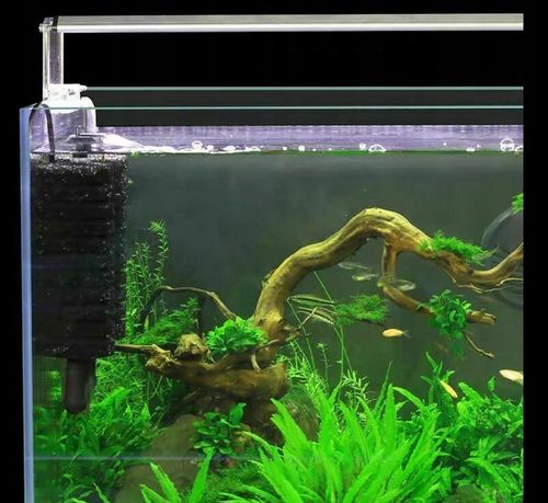 FILTR GĄBKOWY AKWARYSTYCZNY Z POMPĄ WODY AKWARIUM na Arena.pl