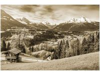 product-compare-58694298