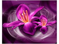 40X50CM RÓŻOWE KOSMICZNE KWIATY JAKUB BANAŚ OBRAZ