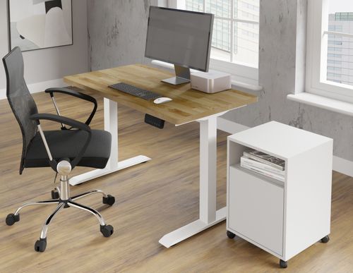 Biurko elektryczne  BIMOTION 2S 120x80x3 cm 72-120 cm biały / fornir dąb na Arena.pl