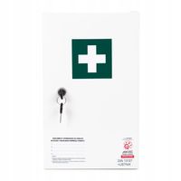 APTECZKA PIERWSZEJ POMOCY stalowa ścienna ZAKŁADOWA Z WYPOSAŻENIEM "40.2"