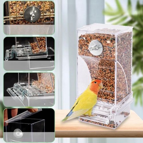 AUTOMATYCZNY DOZOWNIK KARMNIK DLA PTAKÓW PAPUG NIMFY KANARKI na Arena.pl