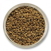 Słód pszeniczny Viking Malt (3-6 EBC) 5kg