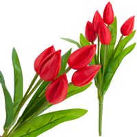cv26806-5  tulipan bukiet tulipanów czerwony piękny jak żywy tulipany