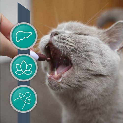 Suplement dla psów i kotów wsparcie wątroby Vet Hepatile 40 kaps. Twist Off na Arena.pl