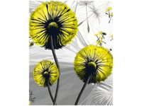 product-compare-58645635