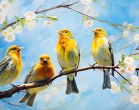 Plakat 76x60,5cm Wiosenne Pogwizdy