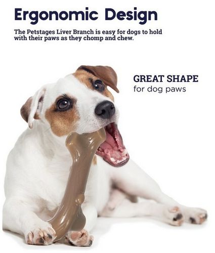 Petstages Liver Branch medium PS68610 na Arena.pl