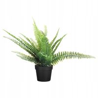 IKEA FEJKA sztuczna roślina doniczkowa PAPROĆ 26cm