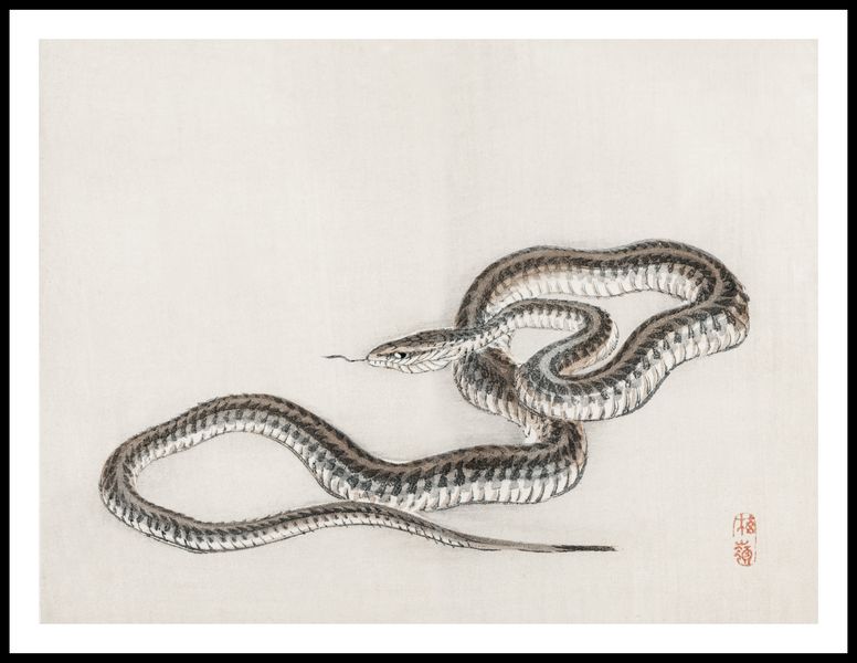 Plakat 80x60cm Snake, Kōno Bairei zdjęcie 3