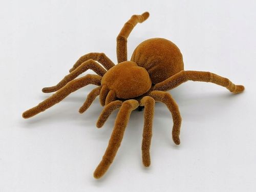 Pająk tarantula chodzący na baterie Halloween 21p na Arena.pl